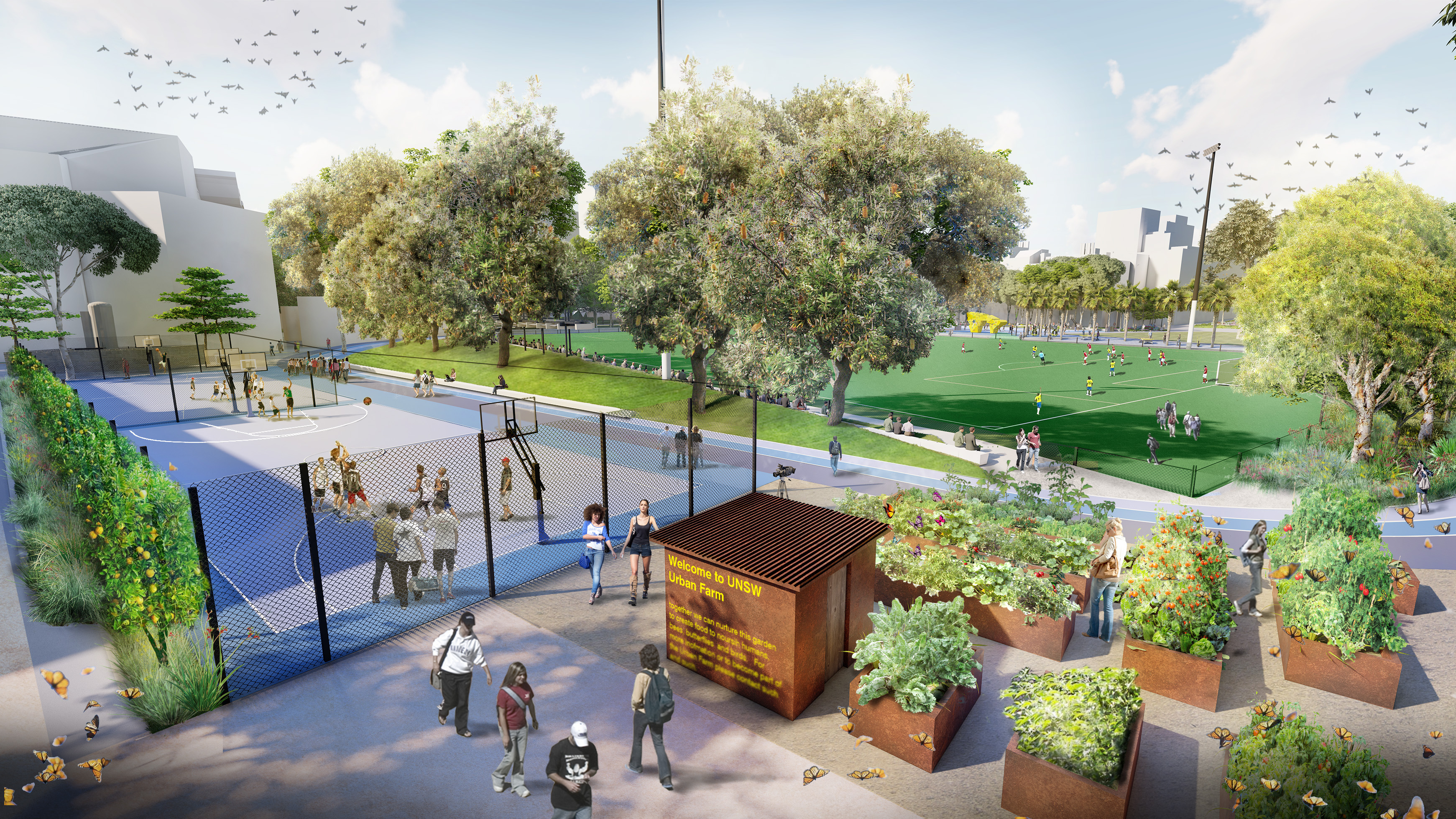 An artist mock up of the urban farm next to the multi-purpose courts